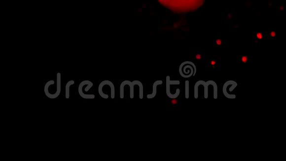 红点模糊的圆圈视频的预览图