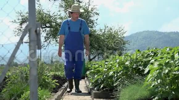 戴帽子的园丁在花园里散步视频的预览图