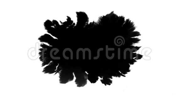 抽象漆笔笔划形状黑色墨水泼洒在白色背景上艺术墨水泼洒视频的预览图