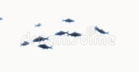 一组黑鱼游泳3D卡通动物剪影视频的预览图