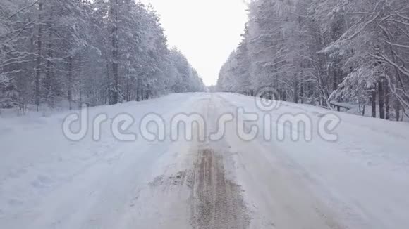 森林积雪的道路视频的预览图