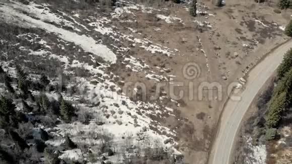 科罗拉多州阿斯彭附近的岩石山脉森林和雪后道的风景照视频的预览图