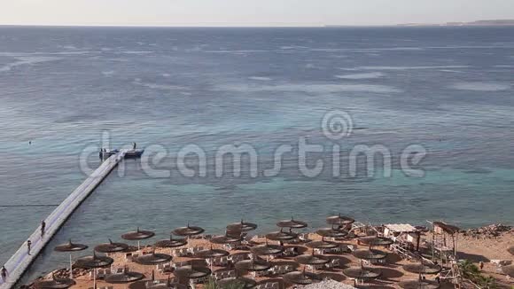 礁绿洲度假海滩埃及视频的预览图