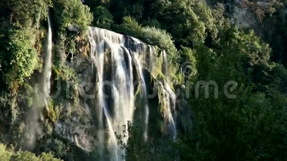 山瀑布在绿色植物中视频的预览图