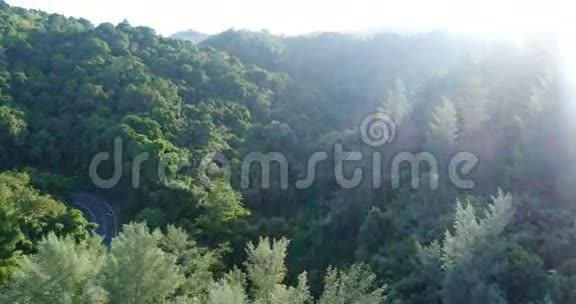 晴天热带森林上空的空中录像视频的预览图