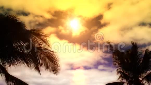 热带天堂的日落视频的预览图