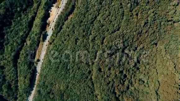 带森林公路汽车卡车的空中夏季景观视频的预览图
