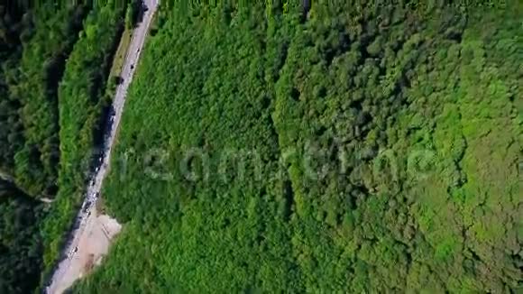 带森林公路汽车卡车的空中夏季景观视频的预览图