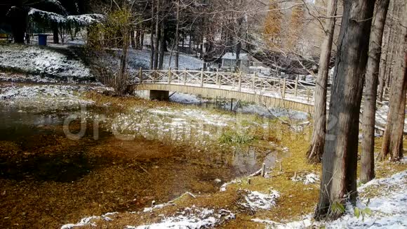 林桥倒影在水中水杉留在湖面上漂浮涟漪积雪视频的预览图