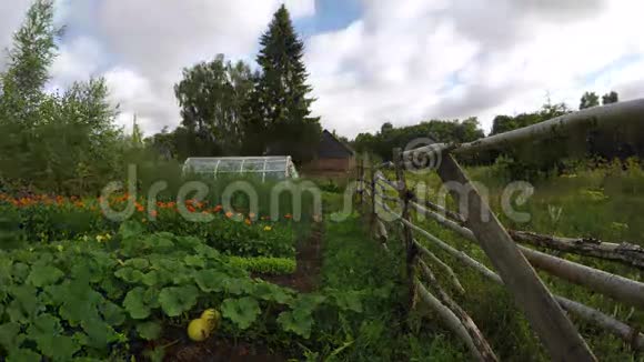 农场蔬菜和草药花园有温室和旧篱笆延时4K视频的预览图
