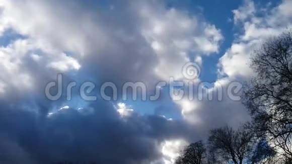 蓝天白云和树木的时间流逝视频的预览图