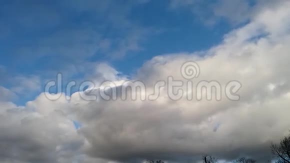 蓝天白云和树木的时间流逝视频的预览图
