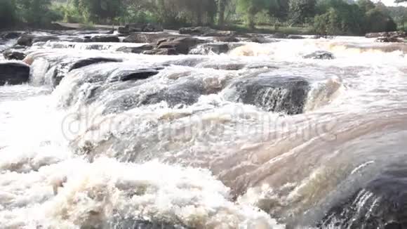 热带森林雨季的溪流视频的预览图