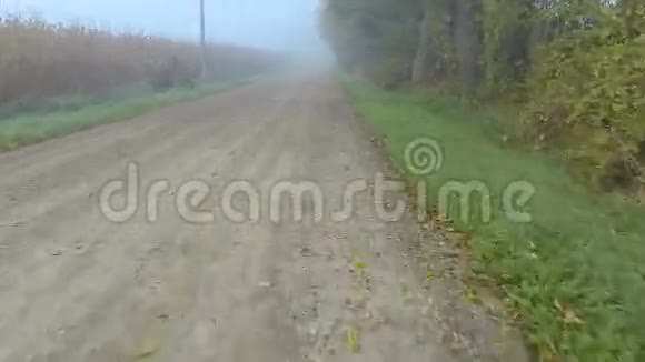 在雾天沿着乡间小路行驶的观点视频的预览图