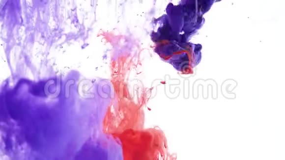 红色和蓝色的墨水云在白色的背景上视频的预览图