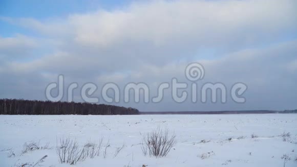 田野和森林的冬季景观视频的预览图