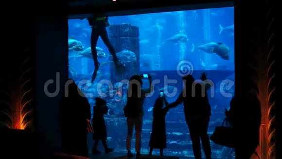 人们在迪拜观看大型水族馆视频的预览图