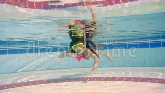 小女孩在游泳池里的水下游泳视频的预览图