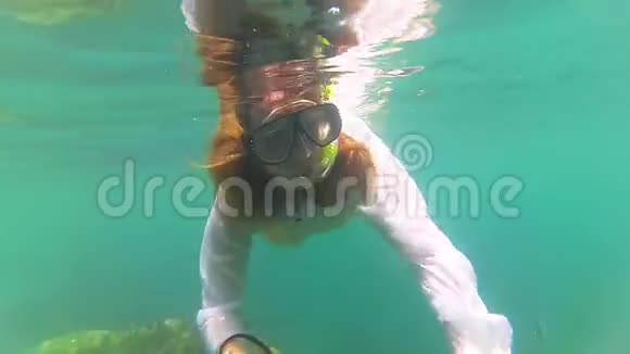 女孩用鱼在海里洗澡戴面具潜水菲律宾泰国视频的预览图