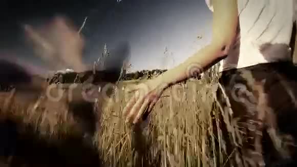 夏季走在田间的妇女摸长草萼片式慢动作分级视频的预览图