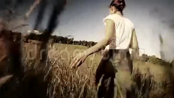 夏季走在田间的妇女摸长草萼片式慢动作分级视频的预览图