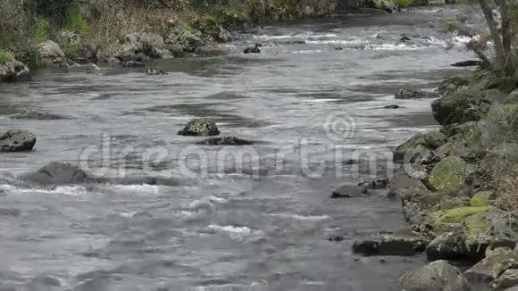 在贝德格勒特附近沿格拉斯林河的景色视频的预览图