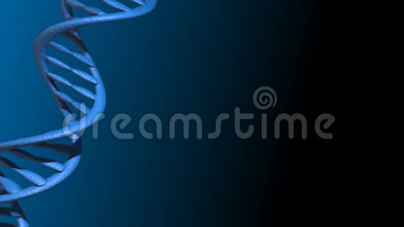 旋转DNA双螺旋视频的预览图