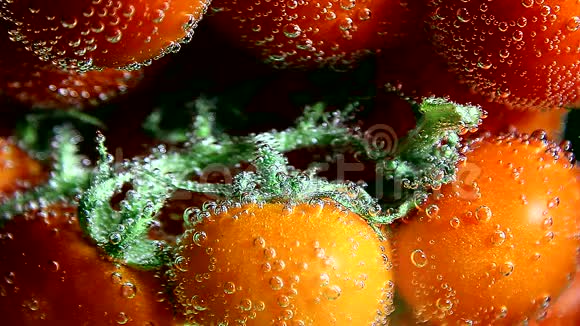 蔬菜西红柿在水中用泡泡视频的预览图