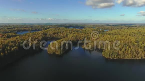 森林和河流的俯视图视频的预览图