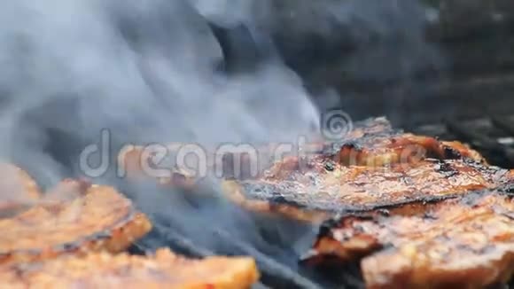 烧烤烧烤猪肉和鳃火鸡视频的预览图