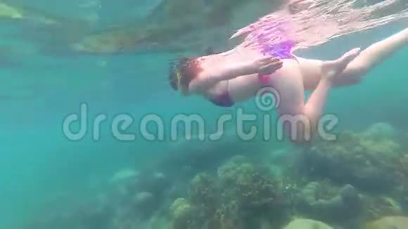 女孩用鱼在海里洗澡戴口罩潜水菲律宾泰国视频的预览图