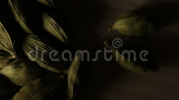 卡达蒙种子从黑暗中出来视频的预览图