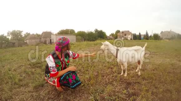 一个穿着乌克兰传统民俗服装的女孩和一只白山羊在村庄的田野里视频的预览图