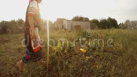 在农村建筑的背景下穿着传统的乌克兰传统手工服装的女孩从花园里的南瓜上掉下来视频的预览图