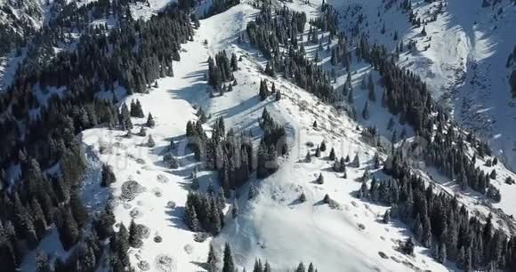 飞过白雪皑皑的针叶树雪白的山和云从上面用无人机射击视频的预览图