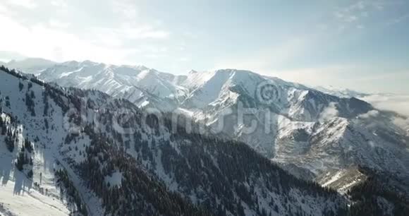 飞过白雪皑皑的针叶树雪白的山和云从上面用无人机射击视频的预览图