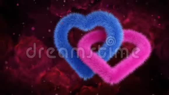 两性心脏联盟红玫瑰上的蓝色粉红色bg视频的预览图