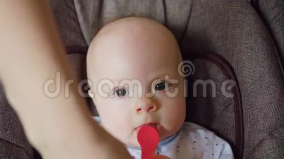 可爱的婴儿躺在婴儿车里吃着红勺子视频的预览图