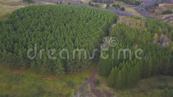 高空俯视秋天野林景观剪辑秋天森林深处的公路的高视角视频的预览图