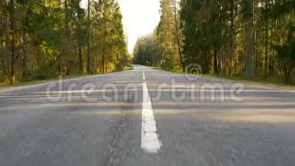 森林之间的道路飞行镜头视频的预览图
