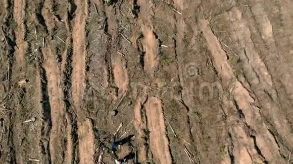 森林恢复生态保护空中射击视频的预览图