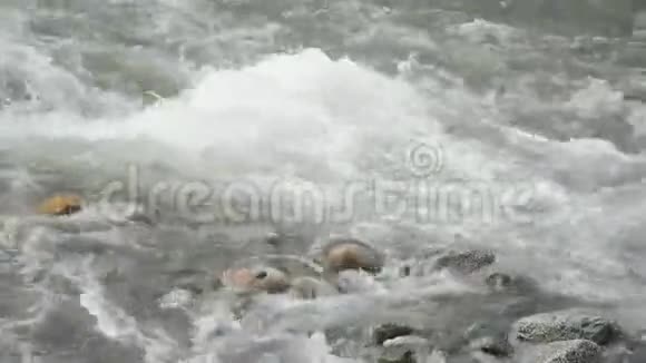 波浪泡沫喷在卡屯河的小溪里视频的预览图