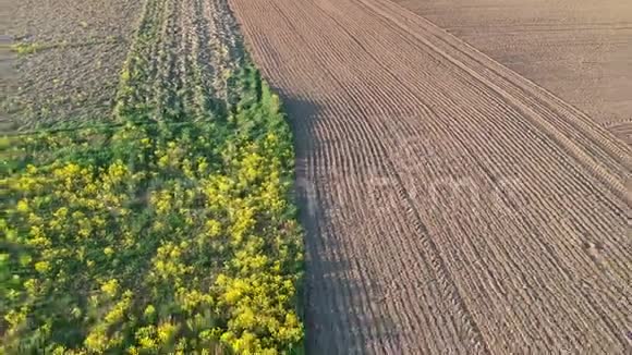 美丽的春天农田空中视频的预览图