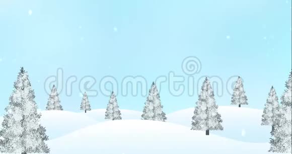 冬季景观有雪松树降雪视频的预览图