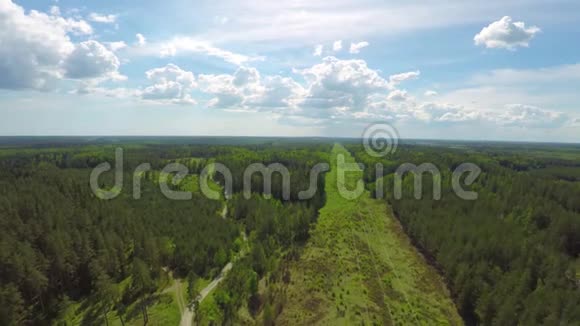 美丽的电线和森林夏季空中景观视频的预览图
