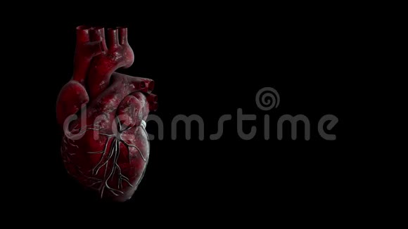 医疗应用程序和网站的心跳脉搏视频视频的预览图