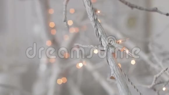 白色装饰的树枝上有圣诞灯视频的预览图