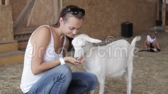 用手喂山羊的年轻女人视频的预览图