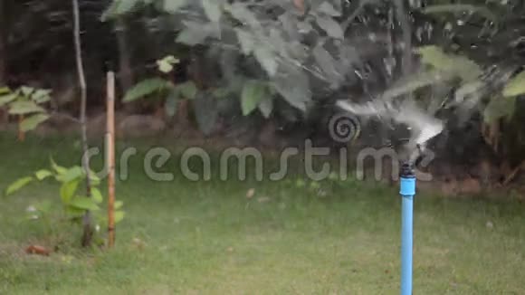 蒸汽在雨中吹视频的预览图