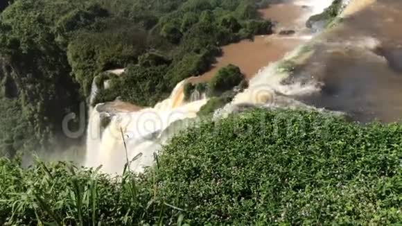 伊瓜苏河的独立溪流在阿根廷北部伊瓜苏国家公园形成瀑布瀑布视频的预览图